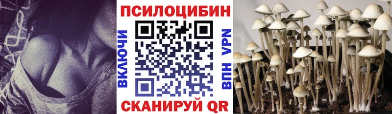 закладки Нижняя Тура Галлюциногенные грибы прущие грибы